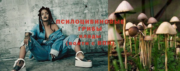 mdpv Алексин