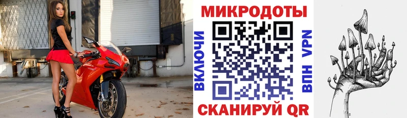 Галлюциногенные грибы мицелий  где продают   Кирс 